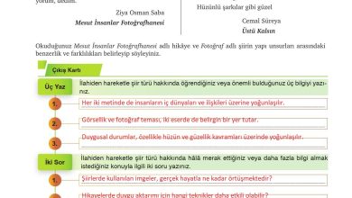 9. Sınıf Meb Yayınları Türkçe Ders Kitabı Sayfa 181 Cevapları