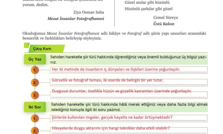 9. Sınıf Meb Yayınları Türkçe Ders Kitabı Sayfa 181 Cevapları