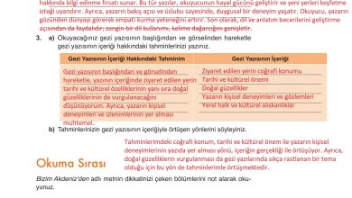 9. Sınıf Meb Yayınları Türkçe Ders Kitabı Sayfa 183 Cevapları