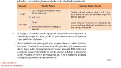 9. Sınıf Meb Yayınları Türkçe Ders Kitabı Sayfa 185 Cevapları