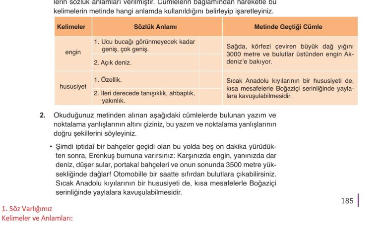 9. Sınıf Meb Yayınları Türkçe Ders Kitabı Sayfa 185 Cevapları