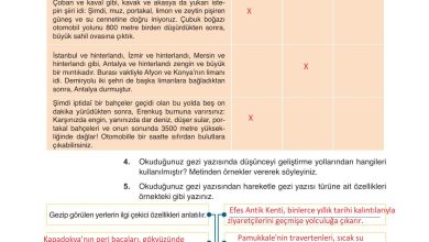 9. Sınıf Meb Yayınları Türkçe Ders Kitabı Sayfa 186 Cevapları