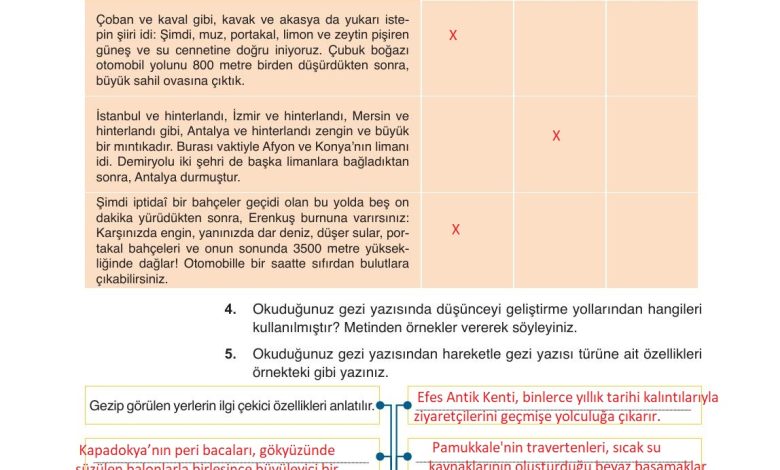 9. Sınıf Meb Yayınları Türkçe Ders Kitabı Sayfa 186 Cevapları