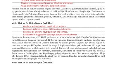 9. Sınıf Meb Yayınları Türkçe Ders Kitabı Sayfa 191 Cevapları