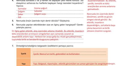 9. Sınıf Meb Yayınları Türkçe Ders Kitabı Sayfa 201 Cevapları