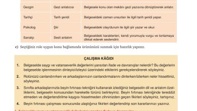 9. Sınıf Meb Yayınları Türkçe Ders Kitabı Sayfa 202 Cevapları