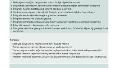 9. Sınıf Meb Yayınları Türkçe Ders Kitabı Sayfa 204 Cevapları