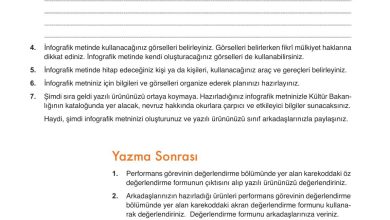 9. Sınıf Meb Yayınları Türkçe Ders Kitabı Sayfa 206 Cevapları