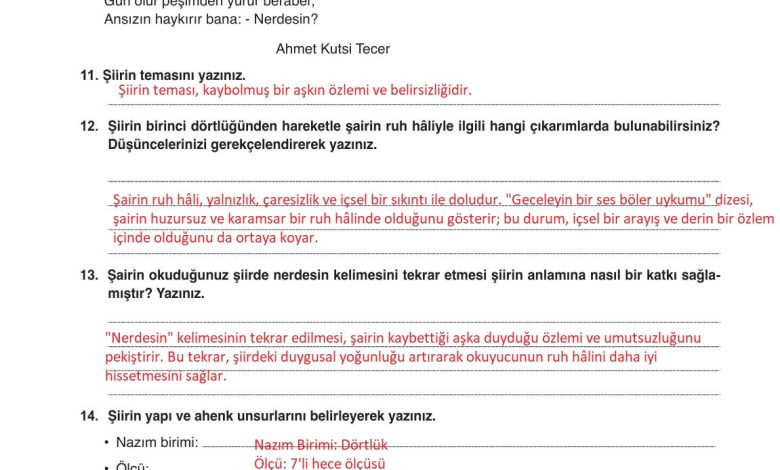 9. Sınıf Meb Yayınları Türkçe Ders Kitabı Sayfa 209 Cevapları