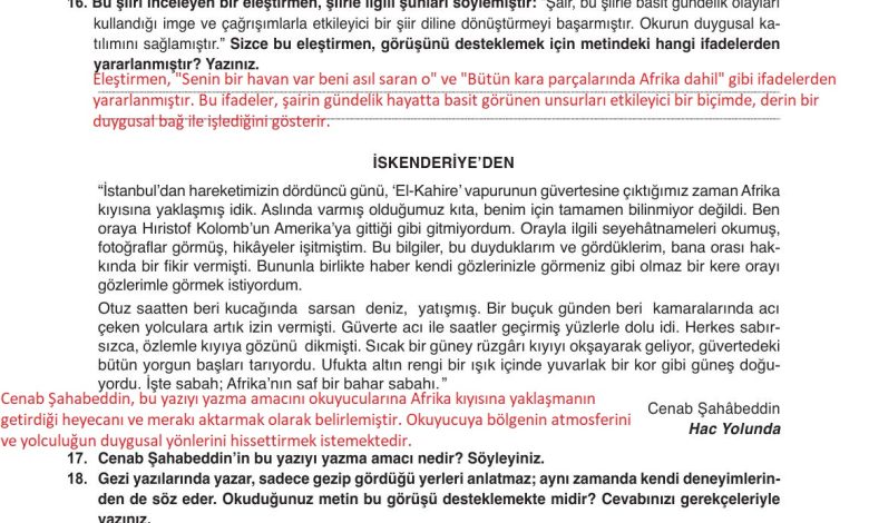 9. Sınıf Meb Yayınları Türkçe Ders Kitabı Sayfa 210 Cevapları