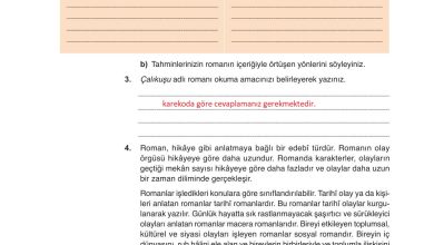 9. Sınıf Meb Yayınları Türkçe Ders Kitabı Sayfa 216 Cevapları