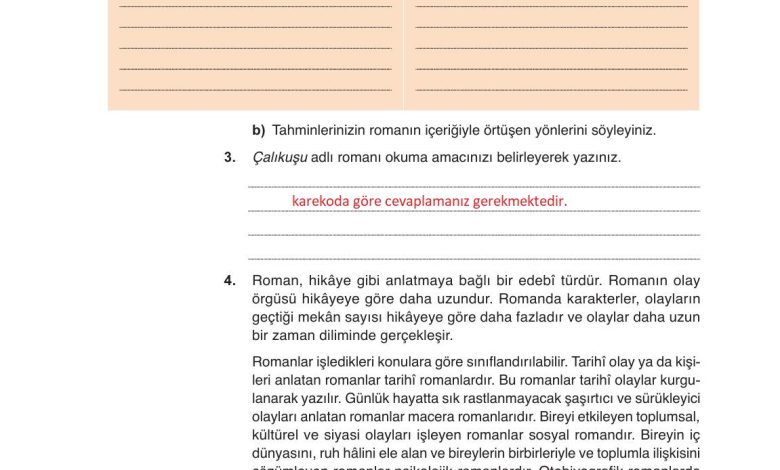 9. Sınıf Meb Yayınları Türkçe Ders Kitabı Sayfa 216 Cevapları