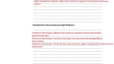 9. Sınıf Meb Yayınları Türkçe Ders Kitabı Sayfa 218 Cevapları