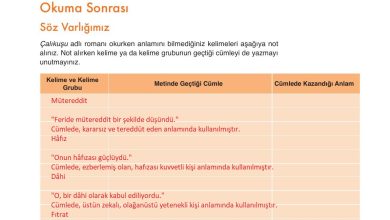 9. Sınıf Meb Yayınları Türkçe Ders Kitabı Sayfa 219 Cevapları