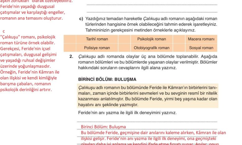 9. Sınıf Meb Yayınları Türkçe Ders Kitabı Sayfa 220 Cevapları