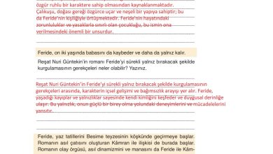 9. Sınıf Meb Yayınları Türkçe Ders Kitabı Sayfa 221 Cevapları