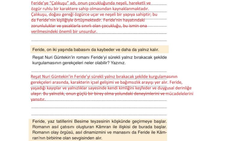 9. Sınıf Meb Yayınları Türkçe Ders Kitabı Sayfa 221 Cevapları