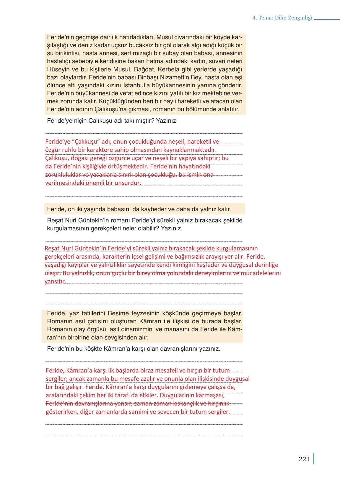 9. Sınıf Meb Yayınları Türkçe Ders Kitabı Sayfa 221 Cevapları