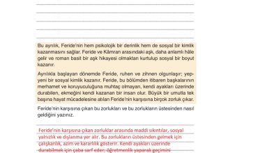 9. Sınıf Meb Yayınları Türkçe Ders Kitabı Sayfa 223 Cevapları