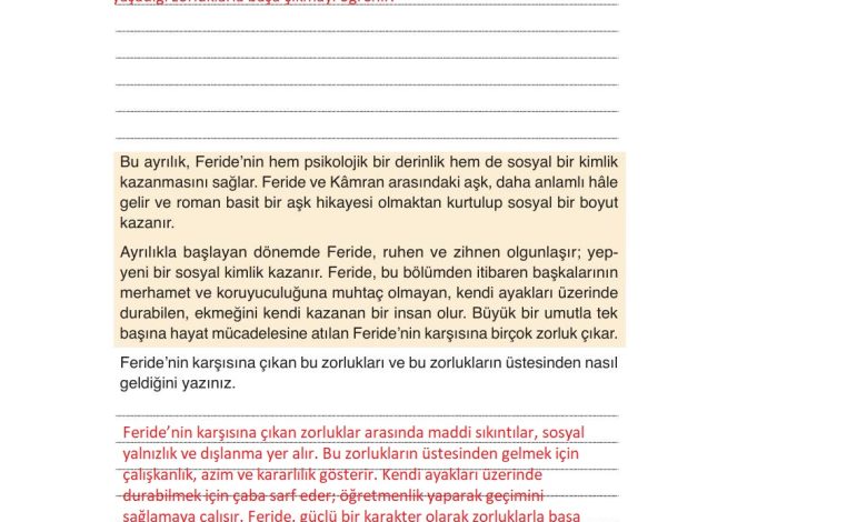 9. Sınıf Meb Yayınları Türkçe Ders Kitabı Sayfa 223 Cevapları