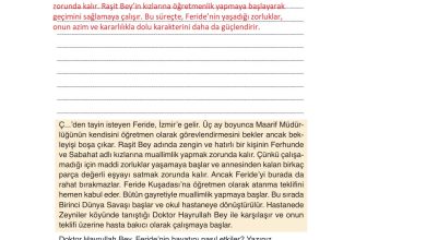 9. Sınıf Meb Yayınları Türkçe Ders Kitabı Sayfa 225 Cevapları