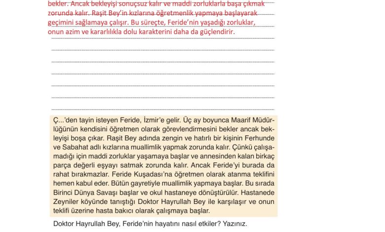 9. Sınıf Meb Yayınları Türkçe Ders Kitabı Sayfa 225 Cevapları