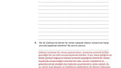 9. Sınıf Meb Yayınları Türkçe Ders Kitabı Sayfa 228 Cevapları