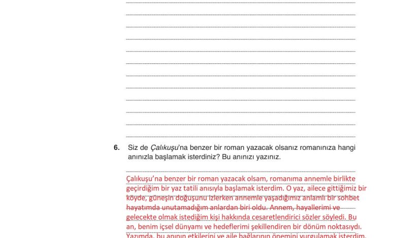 9. Sınıf Meb Yayınları Türkçe Ders Kitabı Sayfa 228 Cevapları