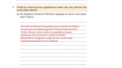 9. Sınıf Meb Yayınları Türkçe Ders Kitabı Sayfa 229 Cevapları