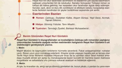 9. Sınıf Meb Yayınları Türkçe Ders Kitabı Sayfa 230 Cevapları