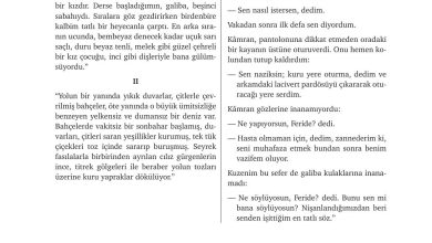 9. Sınıf Meb Yayınları Türkçe Ders Kitabı Sayfa 232 Cevapları