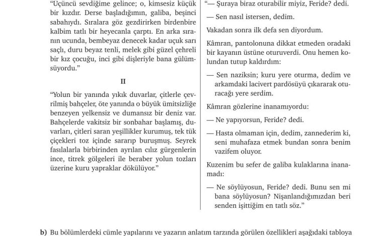 9. Sınıf Meb Yayınları Türkçe Ders Kitabı Sayfa 232 Cevapları