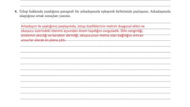 9. Sınıf Meb Yayınları Türkçe Ders Kitabı Sayfa 234 Cevapları