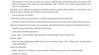 9. Sınıf Meb Yayınları Türkçe Ders Kitabı Sayfa 235 Cevapları