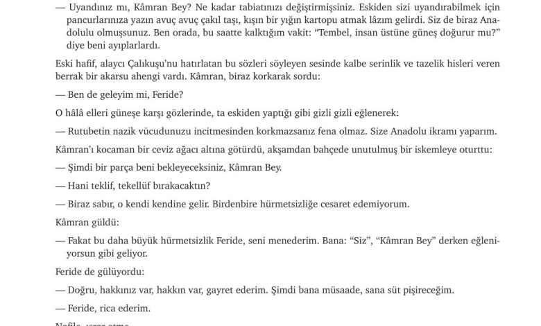 9. Sınıf Meb Yayınları Türkçe Ders Kitabı Sayfa 235 Cevapları