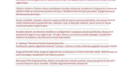 9. Sınıf Meb Yayınları Türkçe Ders Kitabı Sayfa 237 Cevapları