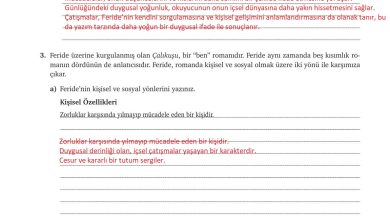 9. Sınıf Meb Yayınları Türkçe Ders Kitabı Sayfa 239 Cevapları