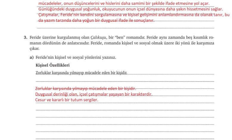 9. Sınıf Meb Yayınları Türkçe Ders Kitabı Sayfa 239 Cevapları