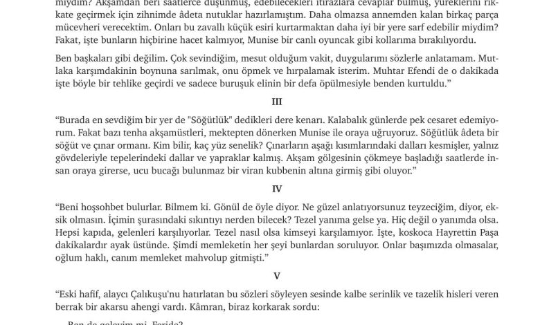 9. Sınıf Meb Yayınları Türkçe Ders Kitabı Sayfa 243 Cevapları