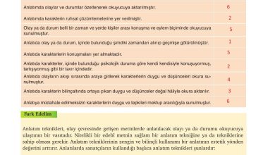 9. Sınıf Meb Yayınları Türkçe Ders Kitabı Sayfa 244 Cevapları