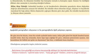 9. Sınıf Meb Yayınları Türkçe Ders Kitabı Sayfa 245 Cevapları