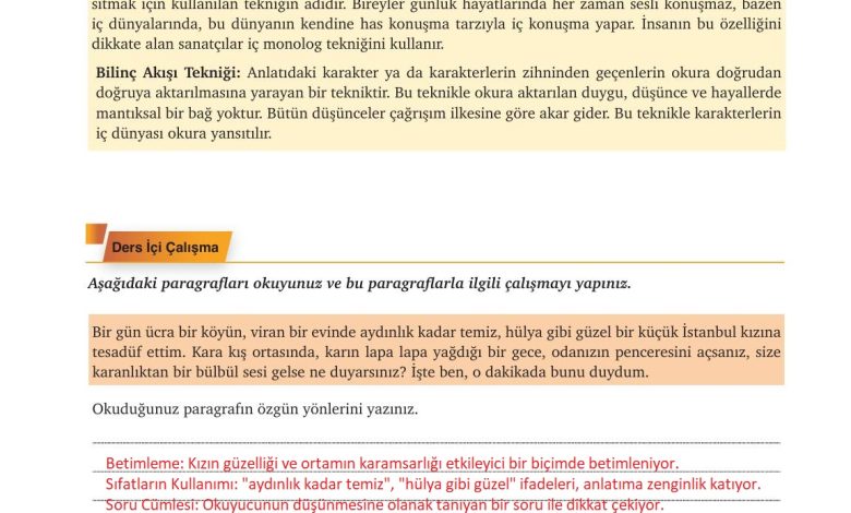 9. Sınıf Meb Yayınları Türkçe Ders Kitabı Sayfa 245 Cevapları