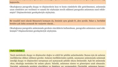 9. Sınıf Meb Yayınları Türkçe Ders Kitabı Sayfa 246 Cevapları