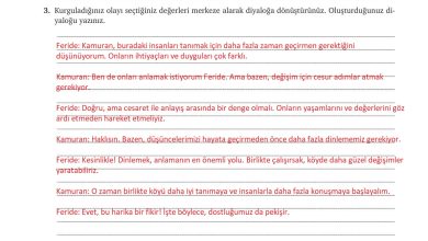 9. Sınıf Meb Yayınları Türkçe Ders Kitabı Sayfa 247 Cevapları