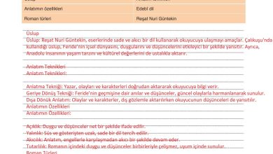 9. Sınıf Meb Yayınları Türkçe Ders Kitabı Sayfa 248 Cevapları