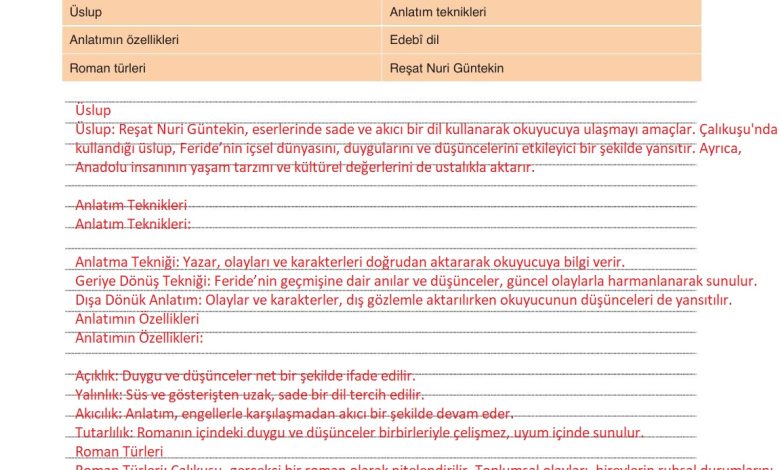 9. Sınıf Meb Yayınları Türkçe Ders Kitabı Sayfa 248 Cevapları