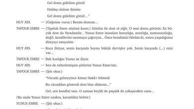 9. Sınıf Meb Yayınları Türkçe Ders Kitabı Sayfa 252 Cevapları