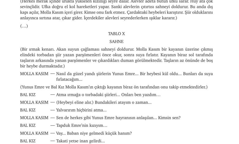 9. Sınıf Meb Yayınları Türkçe Ders Kitabı Sayfa 254 Cevapları