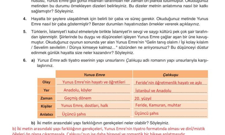 9. Sınıf Meb Yayınları Türkçe Ders Kitabı Sayfa 257 Cevapları