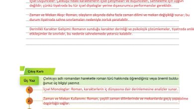 9. Sınıf Meb Yayınları Türkçe Ders Kitabı Sayfa 259 Cevapları